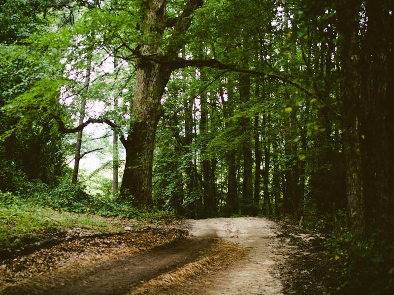 sudoku speed solving